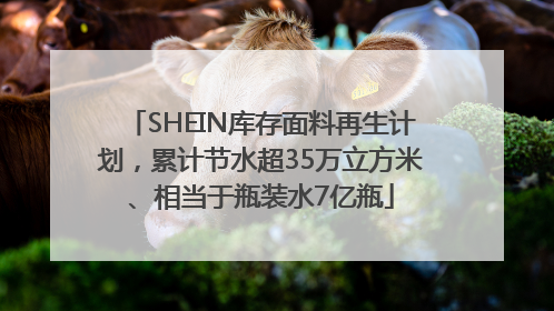 SHEIN库存面料再生计划，累计节水超35万立方米、相当于瓶装水7亿瓶